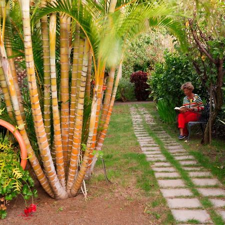 Apartamentos Adjovimar Los Llanos De Aridane Bagian luar foto