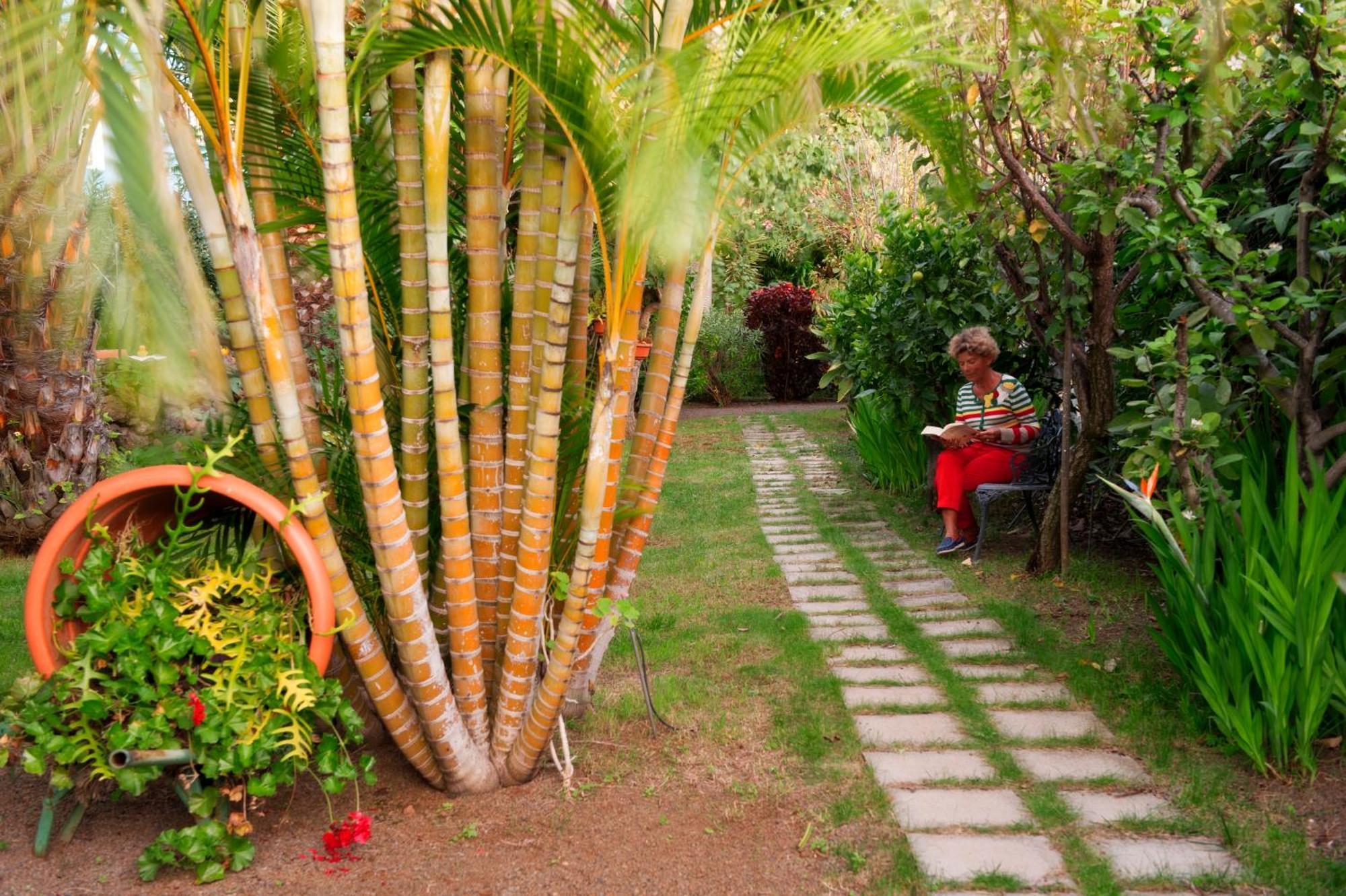 Apartamentos Adjovimar Los Llanos De Aridane Bagian luar foto