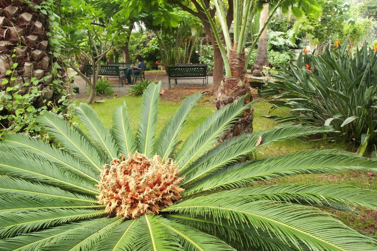 Apartamentos Adjovimar Los Llanos De Aridane Bagian luar foto