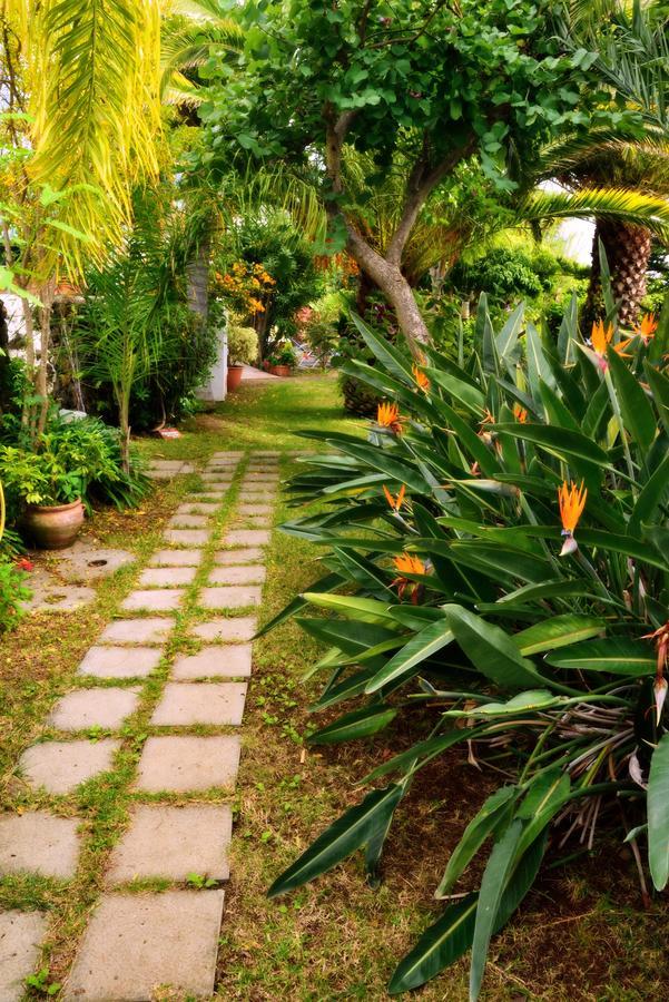 Apartamentos Adjovimar Los Llanos De Aridane Bagian luar foto