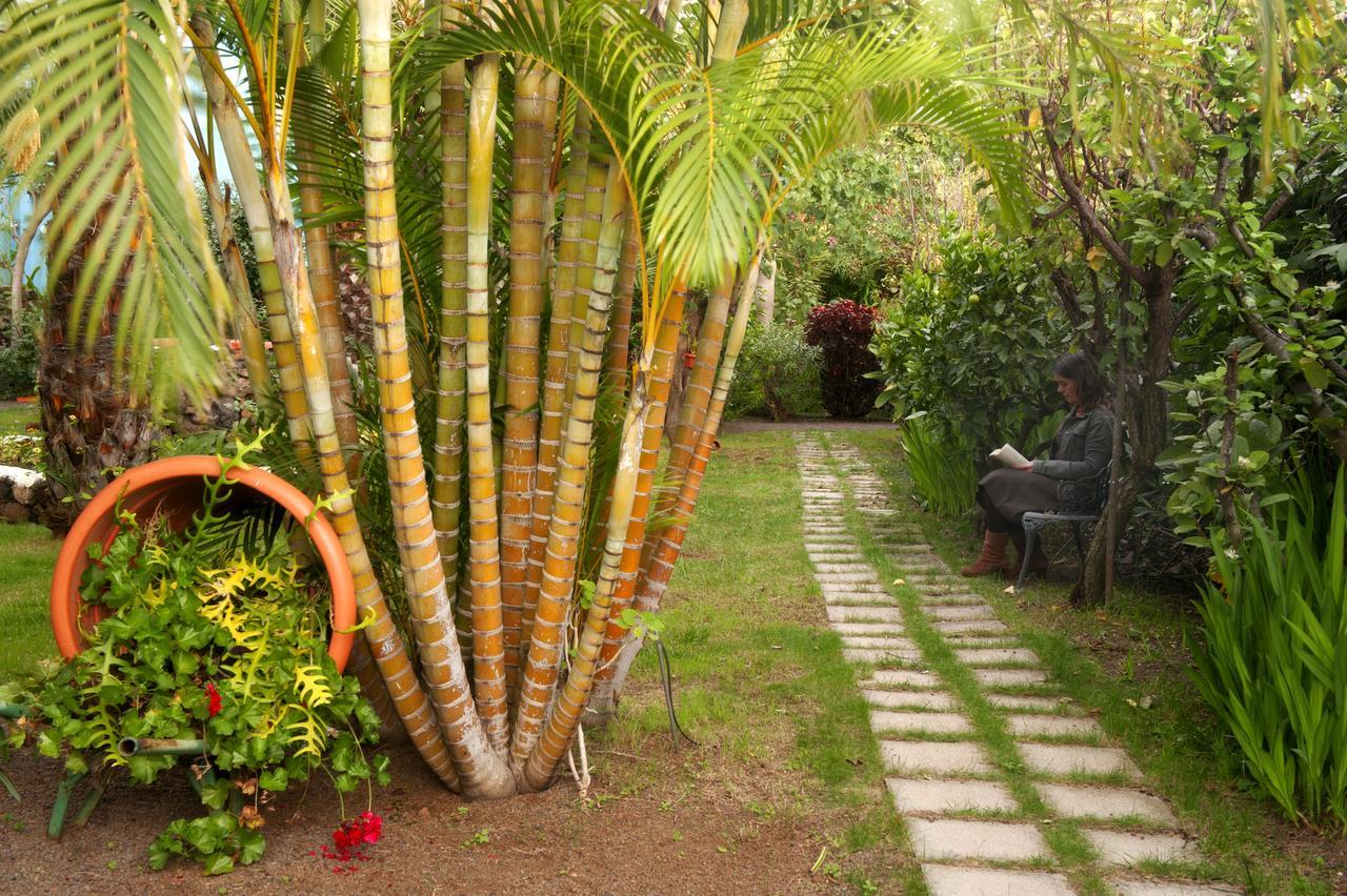 Apartamentos Adjovimar Los Llanos De Aridane Bagian luar foto